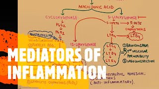 GENERAL PATHOLOGY II CHAP 3 II INFLAMMATION II MEDIATORS OF INFLAMMATION II ROBBINS 10TH EDITION [upl. by Clevie]