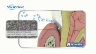 Sensodyne Repair amp Protect  NovaMin  Farmadelivery [upl. by Ateuqal]