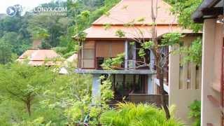 Villa Zolitude Resort amp Spa 5★ Hotel Phuket Thailand [upl. by Myles]