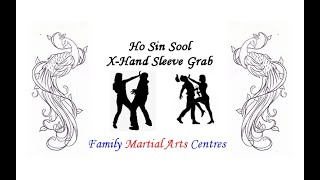 Ho Sin Sool  Xhand Sleeve [upl. by Rogozen261]