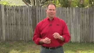 How To Stop Lawn Weeds  Ace Hardware [upl. by Narhet]