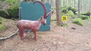 3D Bogen Parcours Test Harmanschlag Juni 2018 [upl. by Lapointe]