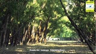 Sundarbans Theme song new 7 wonders [upl. by Ogram]