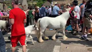 Appleby Horse Fair Saturday 2023 3rd Day [upl. by Julianne]