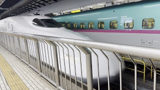 【消滅済み】東海道新幹線放送更新前の東京駅構内放送集！！ [upl. by Natek]