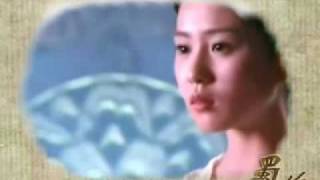 杨幂 Yang Mi amp 刘诗诗 Liu Shi Shi FanVid [upl. by Nhguavoj]