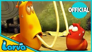 LARVA Funny Animation  LARVA AND THE SPAGHETTI  Cartoons  Comics  LARVA Official [upl. by Marl]