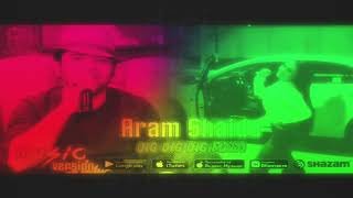 Aram Shaida  dig dig dig Remix DJ STREAM [upl. by Analim]