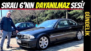 GÜNDELİK  BMW E46 330Ci  Tüketim Masraf Kronikler ve Her Şey [upl. by Trebloc]