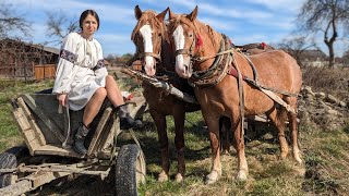 Hard life in a village PLOWING WITH HORSES Cooking amazing simple lunch Ukrainian Vegan Food [upl. by Forlini]