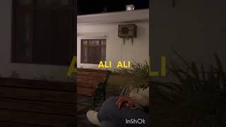 ali ali islamabadvisit  hotel music Mast Kalandar cold [upl. by Stag]