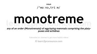 Pronunciation of Monotreme  Definition of Monotreme [upl. by Nylime282]