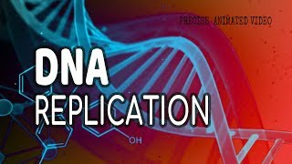 DNA Replication  Helicase  leading strand  Lagging strand  Okazaki fragments [upl. by Nod]