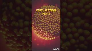 FERTILIZATION PART 1 shortvideo infertility sperm drrimmi90 [upl. by Namreh]