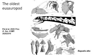 Brachytrachelopan  The ShortNecked Sauropod [upl. by Dannon]