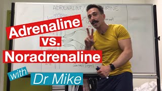 Adrenaline versus Noradrenaline  epinephrine versus Norepinephrine [upl. by Katlaps]