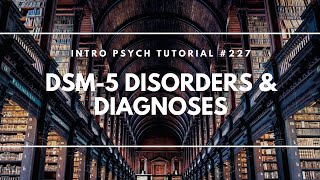 DSM5 Disorders amp Diagnoses Intro Psych Tutorial 227 [upl. by Devinna]