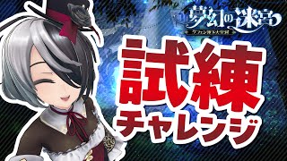 RO初心者が月曜日なので試練行く！【新人VTuber 田中ナナ仮】【Ragnarok Online】 [upl. by Suivatal]