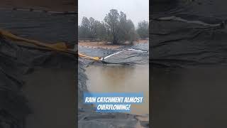 Rainwater Catchment During Atmospheric River Northern Arizona [upl. by Lauber805]