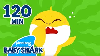 Baby Sharks Got a Booger in Nose  Compilation  Healthy Habits and Science  Baby Shark Official [upl. by Gerick]