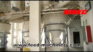 Feed Pellet Plant Equipment of Pelletization Animal Feed Pellet Mills [upl. by Barron]