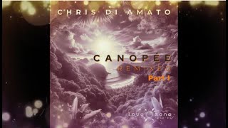 Canopée By Chris Di Amato  Aqua Bassino Remix [upl. by Eimyaj]