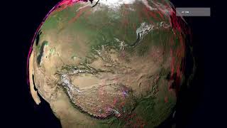 Global animal movements based on Movebank data globe [upl. by Inavihs630]