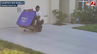 Gator garbage can capture Florida man uses trash can to capture alligator [upl. by Tri]