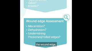 The Coloplast Triangle of Wound Assessment [upl. by Bubalo]