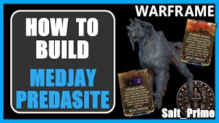 Medjay Predasite  How to Build  Warframe  2024 [upl. by Noach926]