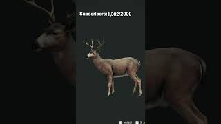 Multiplayer Leads to a HUGE Level 4 Blacktail  Call of the Wild shorts [upl. by Portingale957]