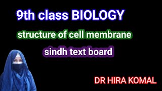 ix class biology structure of cell membrane [upl. by Lramaj]