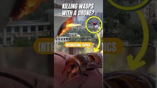 Killing a hornet with a drone wasps viralshorts [upl. by Sterner948]