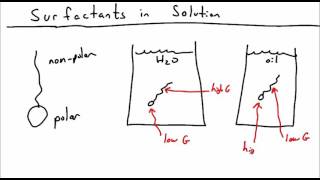 Introduction to Surfactants [upl. by Salim]