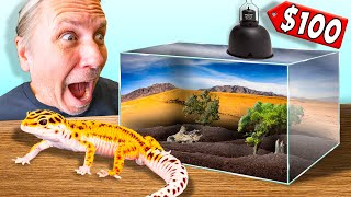 Cheap 100 Leopard Gecko Setup Tutorial [upl. by Diann]