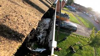 Gutter Cleaning Season Is Almost Here [upl. by Ahsim]