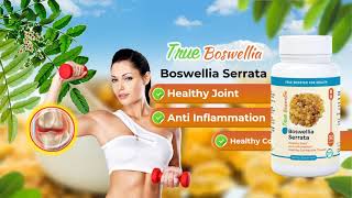 True Boswellia  Boswellia Serrata  Healthy joint  Anti Inflamation [upl. by Esina]