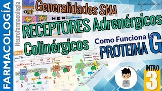 PROTEINA G 2do MENSAJEROS  Receptores ADRENÉRGICO COLINÉRGICO NEUROFARMACOLOGÍA INTRO P3 [upl. by Othe985]