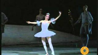 Bolshoi Ballet  The Nutcracker  Dance of the Sugar Plum Fairy  Ovation [upl. by Nomolos]