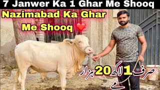 Nazimabad Ka Ghar Me 2025 Qurbani Ki Sale Laga Di❤️  7 Janwer Ka Shooq  Qurbani 2025 [upl. by Judah]