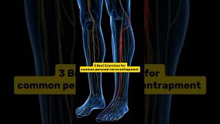 Best exercises for lower leg pain and numbnesscalf muscle paincommon peroneal nerve entrapment [upl. by Edmanda]