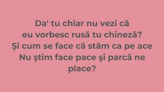 Piesa Mea Preferată Vescan Kamelia versuri [upl. by Parcel]