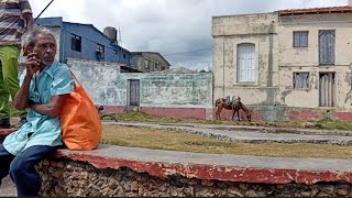 Me fui a Baracoa [upl. by Hallimaj]