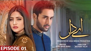 Aye Dil  Episode 01  Neelam Muneer and Affan Waheed  Pkaistani New Drama [upl. by Pirali332]