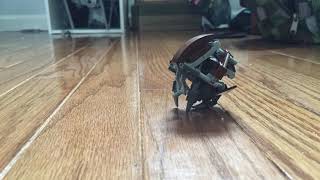 Rolling Droideka TestLEGO Star Wars Stop Motion [upl. by Dyob]