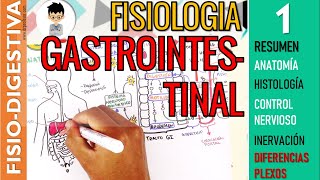 FISIOLOGIA GASTROINTESTINAL  RESUMEN Estructura Control Nervioso SN ENTERICO Sistema Digestivo1 [upl. by Olcott]