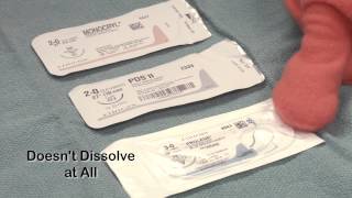 Dr Scalpels Guide to Surgery Sutures Episode 10 [upl. by Francisca]