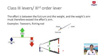 Basics of Exercise Therapy Levers [upl. by Hazlett]