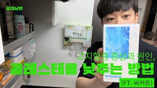 고지혈증 증상 원인 및 콜레스테롤 낮추는 방법은 ft 씨커트 [upl. by Jamesy]