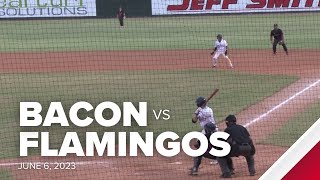 HIGHLIGHTS Macon Bacon vs Florence Flamingos  June 6 2023 [upl. by Ara922]